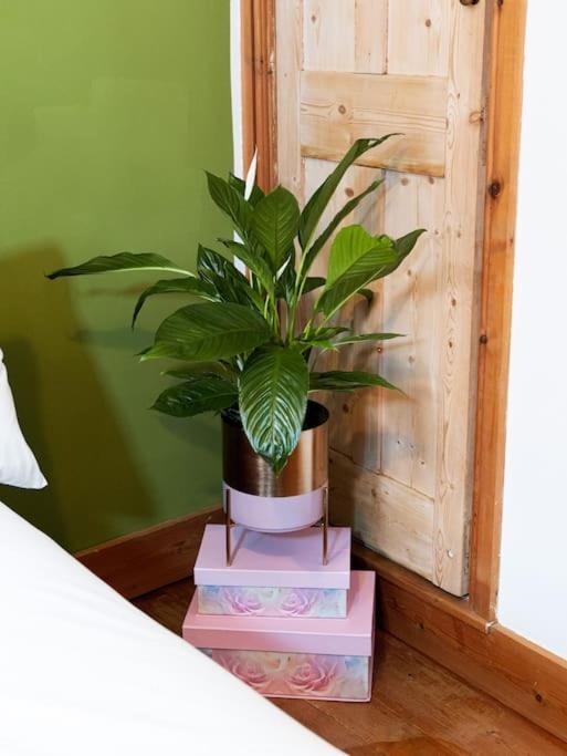 Cosy Cottage In Central Reading Free Parking & Fast Wifi Exterior photo